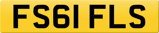 FS61FLS